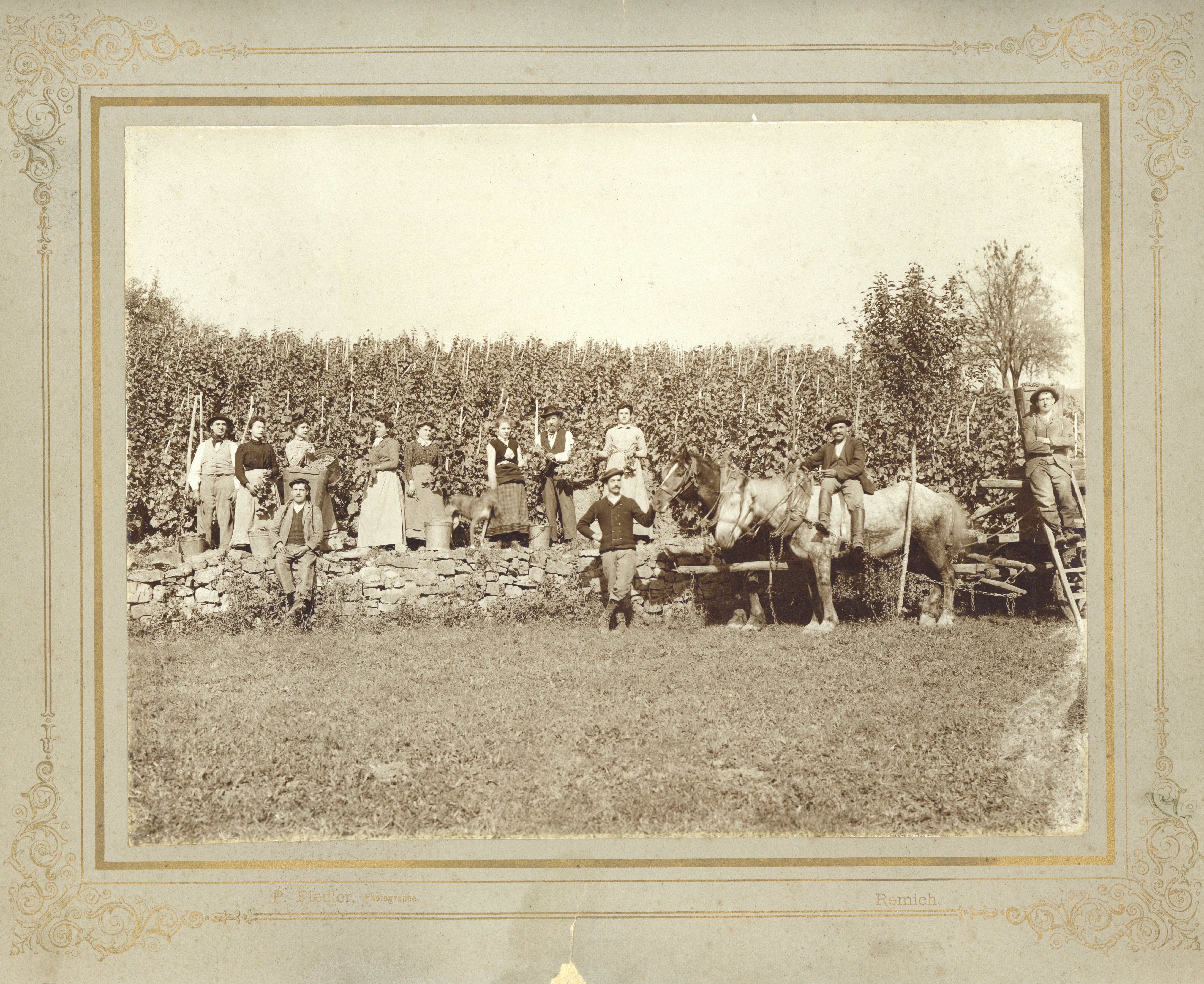 Am Wéngert (Photo Fiedler).jpg