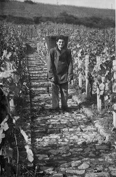 Jos Konert 8 x 10 x 75%.jpg